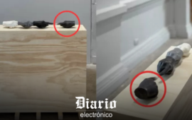 Revelan detalles del robo y del ladrón que sustrajo una escultura desde el Museo de Arte Contemporáneo  Foto autor
