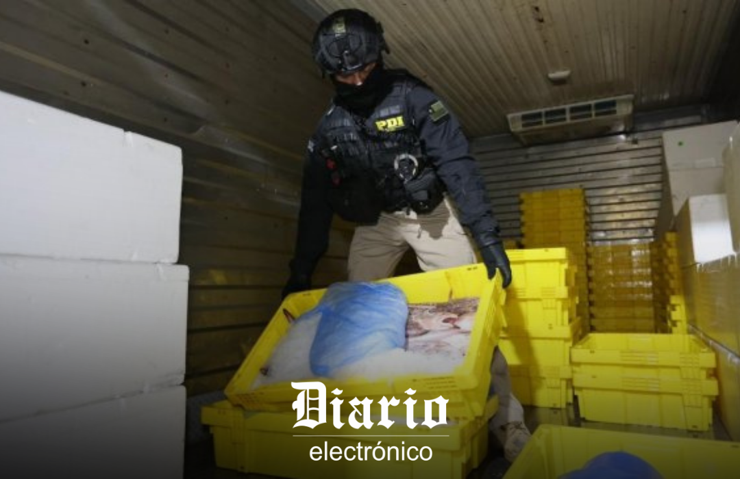 Desbaratan red de tráfico de productos del mar: Hay funcionarios públicos detenidos