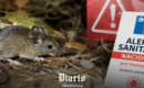 Más del 80 % de Chile en alerta sanitaria por hantavirus: alcance e impacto de las medidas