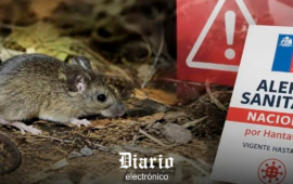 Más del 80 % de Chile en alerta sanitaria por hantavirus: alcance e impacto de las medidas