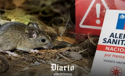 Más del 80 % de Chile en alerta sanitaria por hantavirus: alcance e impacto de las medidas