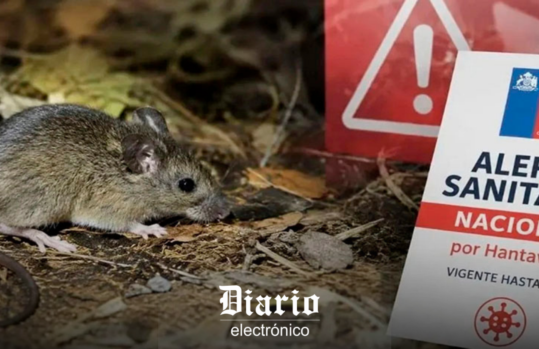 Más del 80 % de Chile en alerta sanitaria por hantavirus: alcance e impacto de las medidas