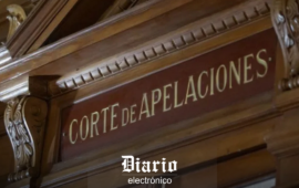 Compró pan en un supermercado y su hijo encontró dos escarabajos en la masa: Corte ordenó pagar $500 mil a la madre