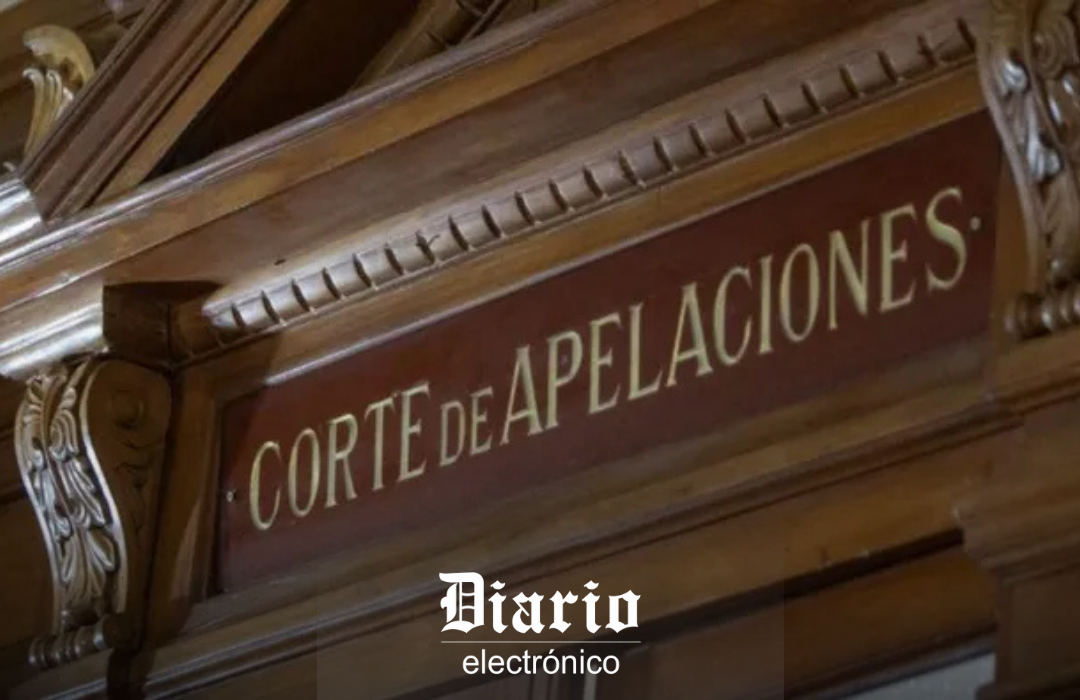 Compró pan en un supermercado y su hijo encontró dos escarabajos en la masa: Corte ordenó pagar $500 mil a la madre