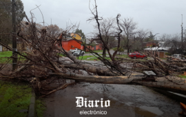 Senapred reporta caída de árboles y desprendimiento de techumbres en Longaví por fuertes vientos